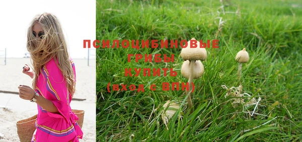 ПСИЛОЦИБИНОВЫЕ ГРИБЫ Сосновка