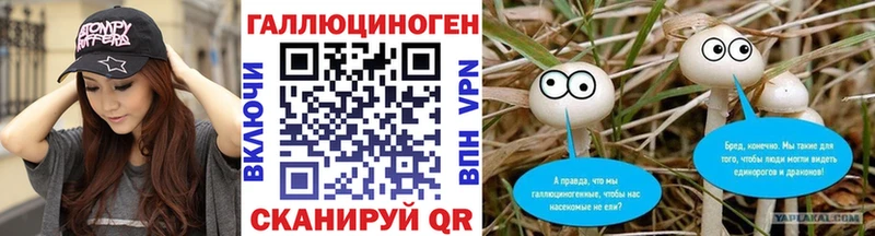 Галлюциногенные грибы GOLDEN TEACHER  Купить закладки  Камбарка 