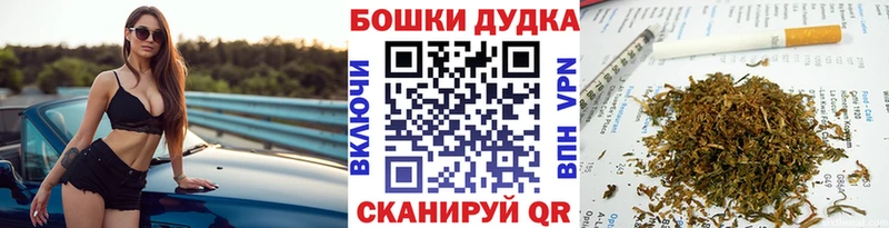 Конопля White Widow  Купить где  Камбарка 